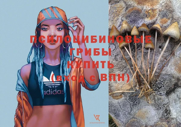 соль ск Сафоново
