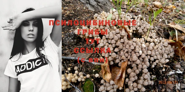 соль ск Сафоново
