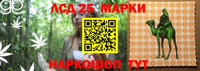 эйфоретик Жуковский