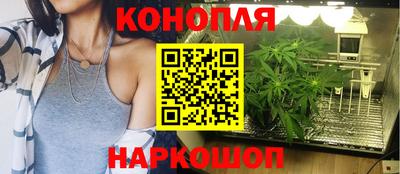 эйфоретик Жуковский