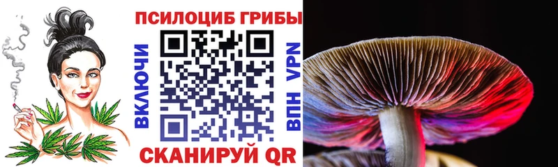 Галлюциногенные грибы MAGIC MUSHROOMS  дарнет шоп  Знаменск 